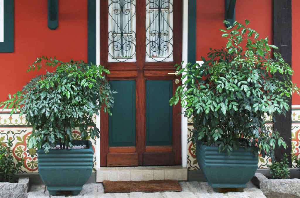 plantas colocadas a cada lado de puerta