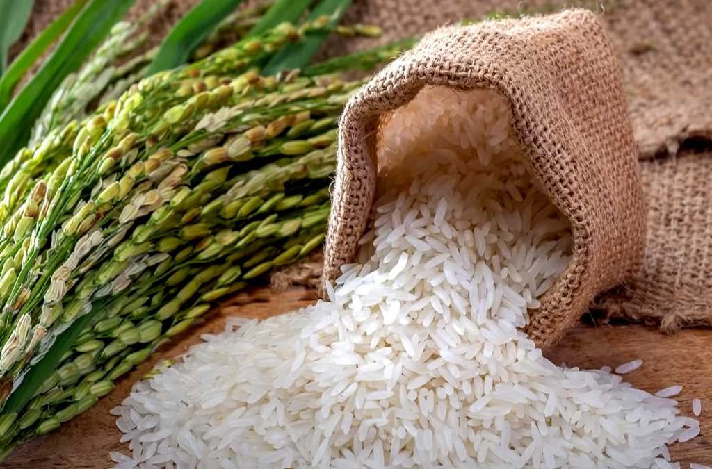 el arroz simboliza la abundancia