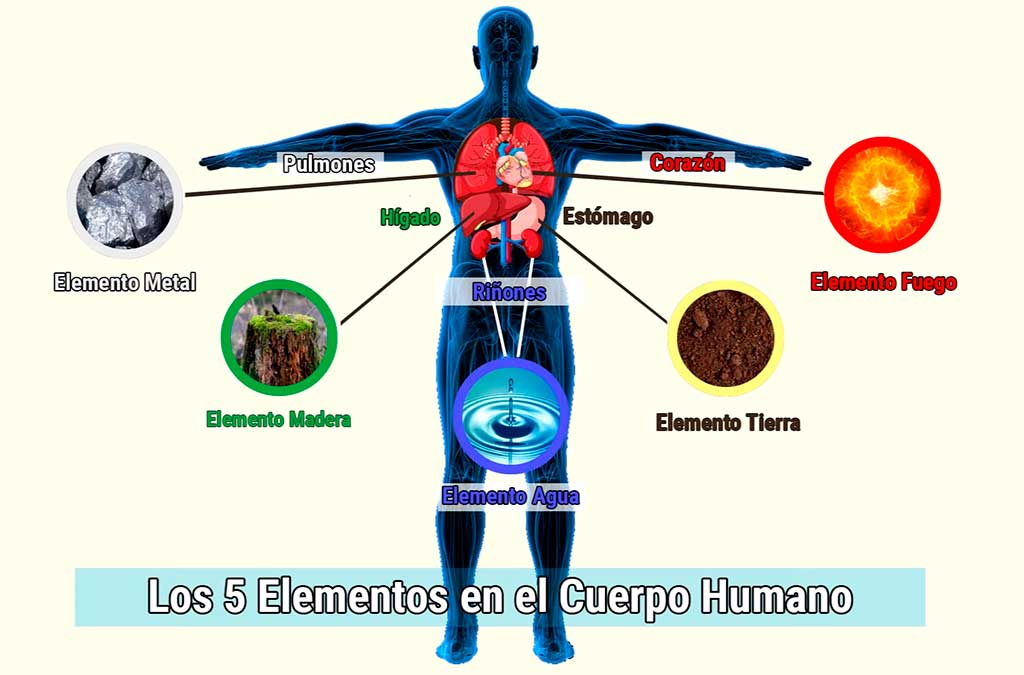 elementos equilibrio cuerpo humano