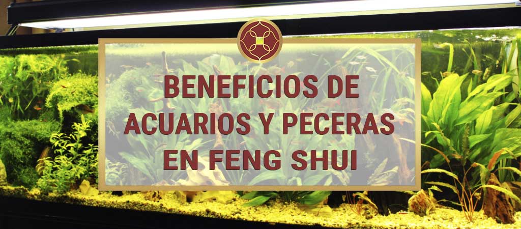 acuarios y peceras decorativas en Feng Shui