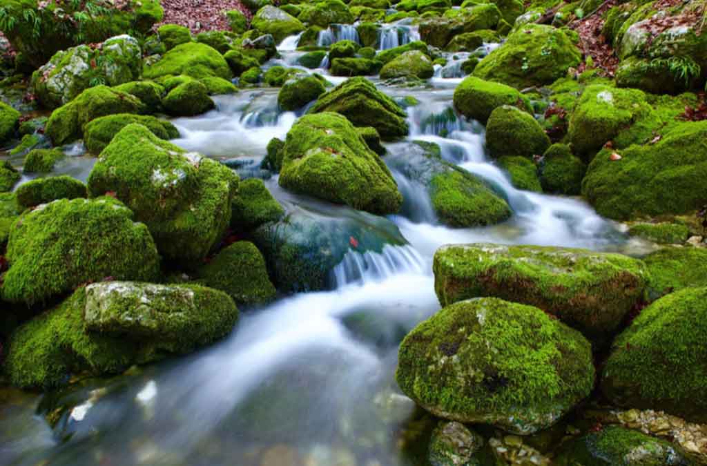 acuarios simulan agua arroyos