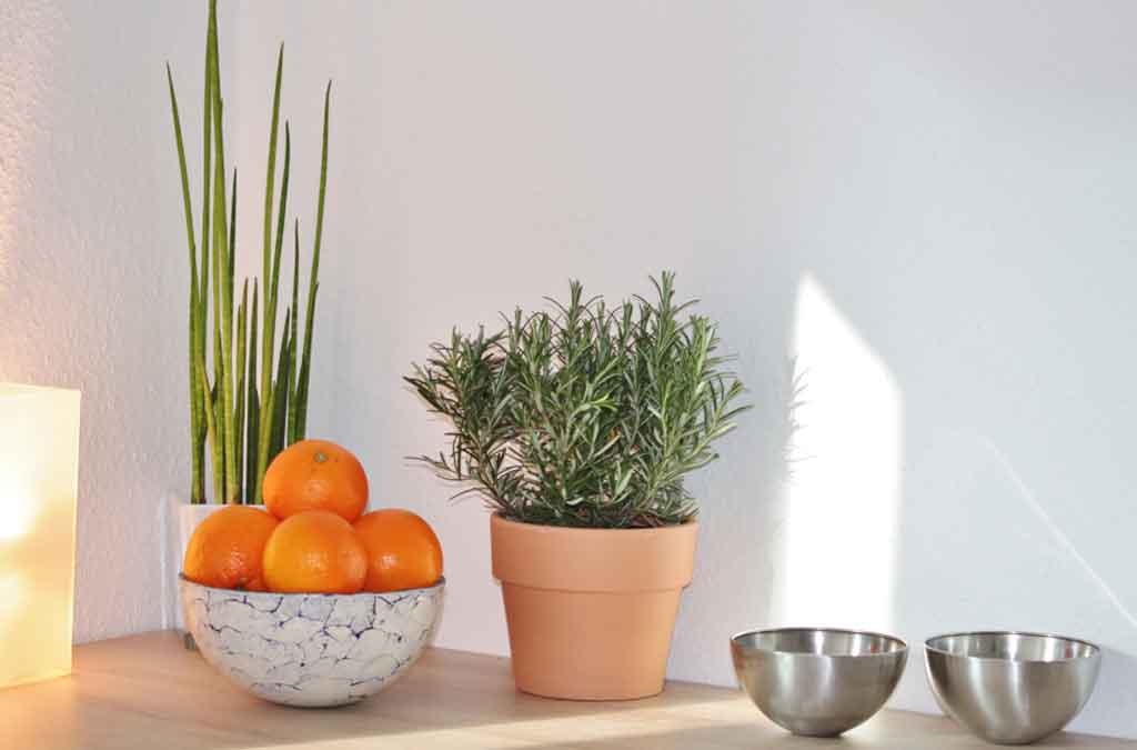 aromas cocina feng shui